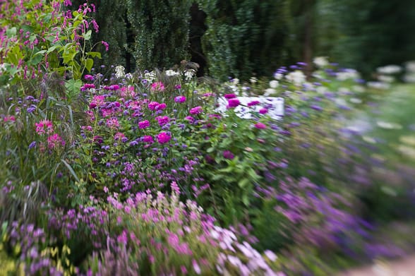 Fotograferet med kunstlinse Her er jeg i en blomsterhave, hvor jeg valgte en lensbay kunstoptik, der som man kan se, forvrænger motivet. Meget lækker effekt.